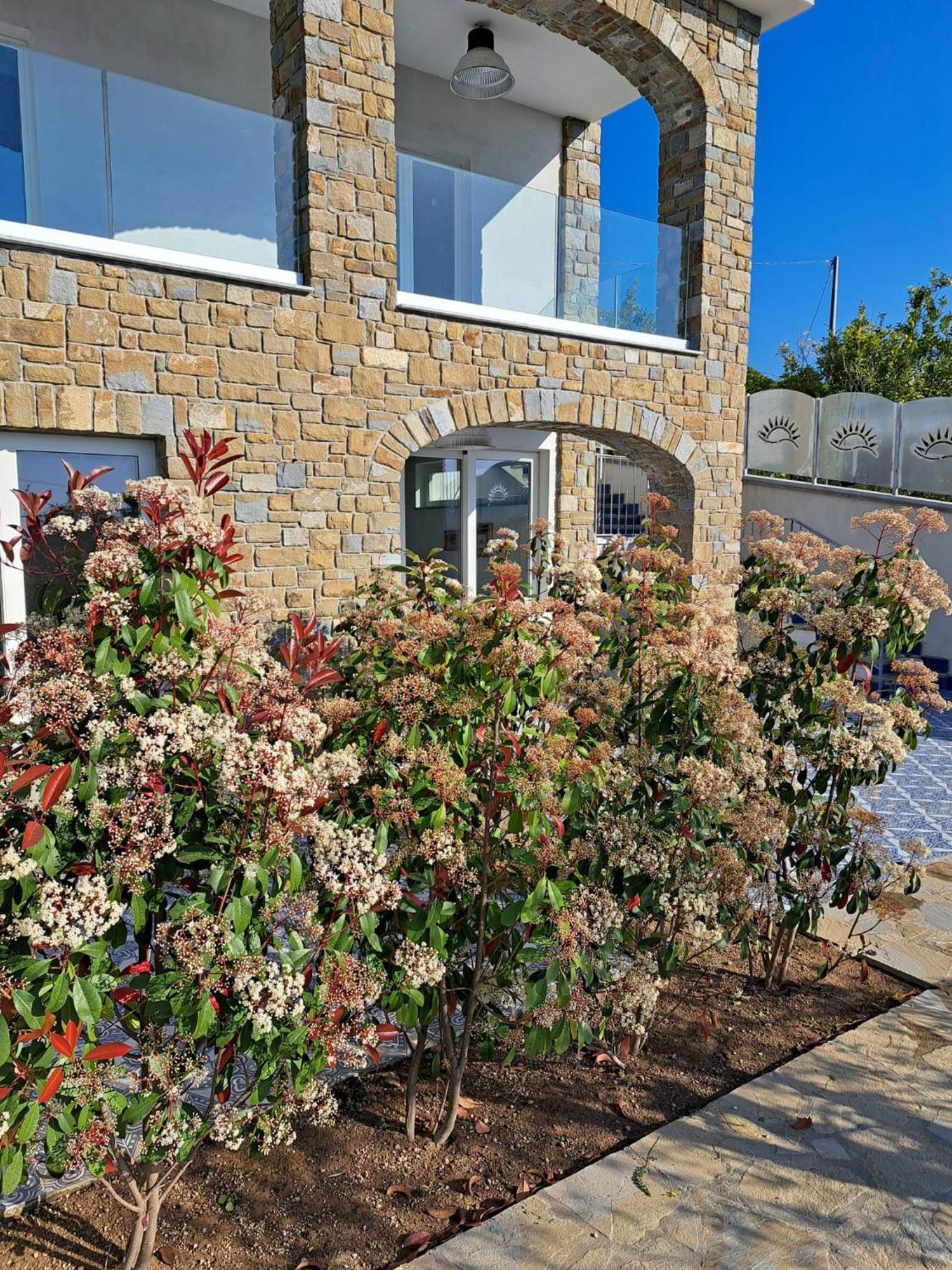 Bed and Breakfast Paoma Agropoli Esterno foto