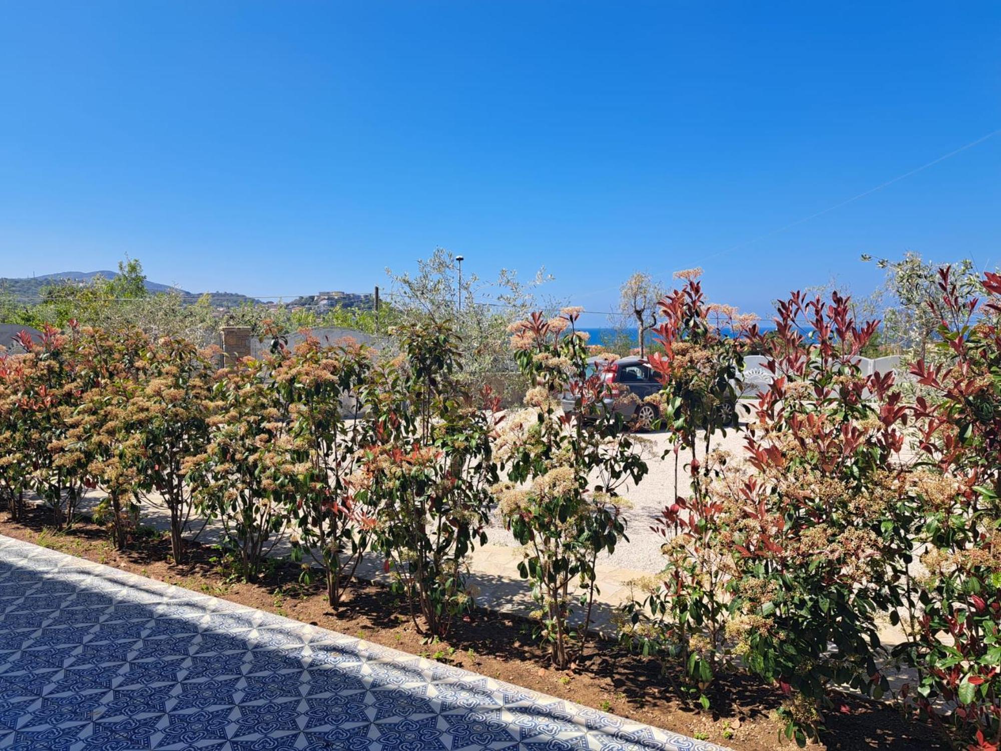 Bed and Breakfast Paoma Agropoli Esterno foto