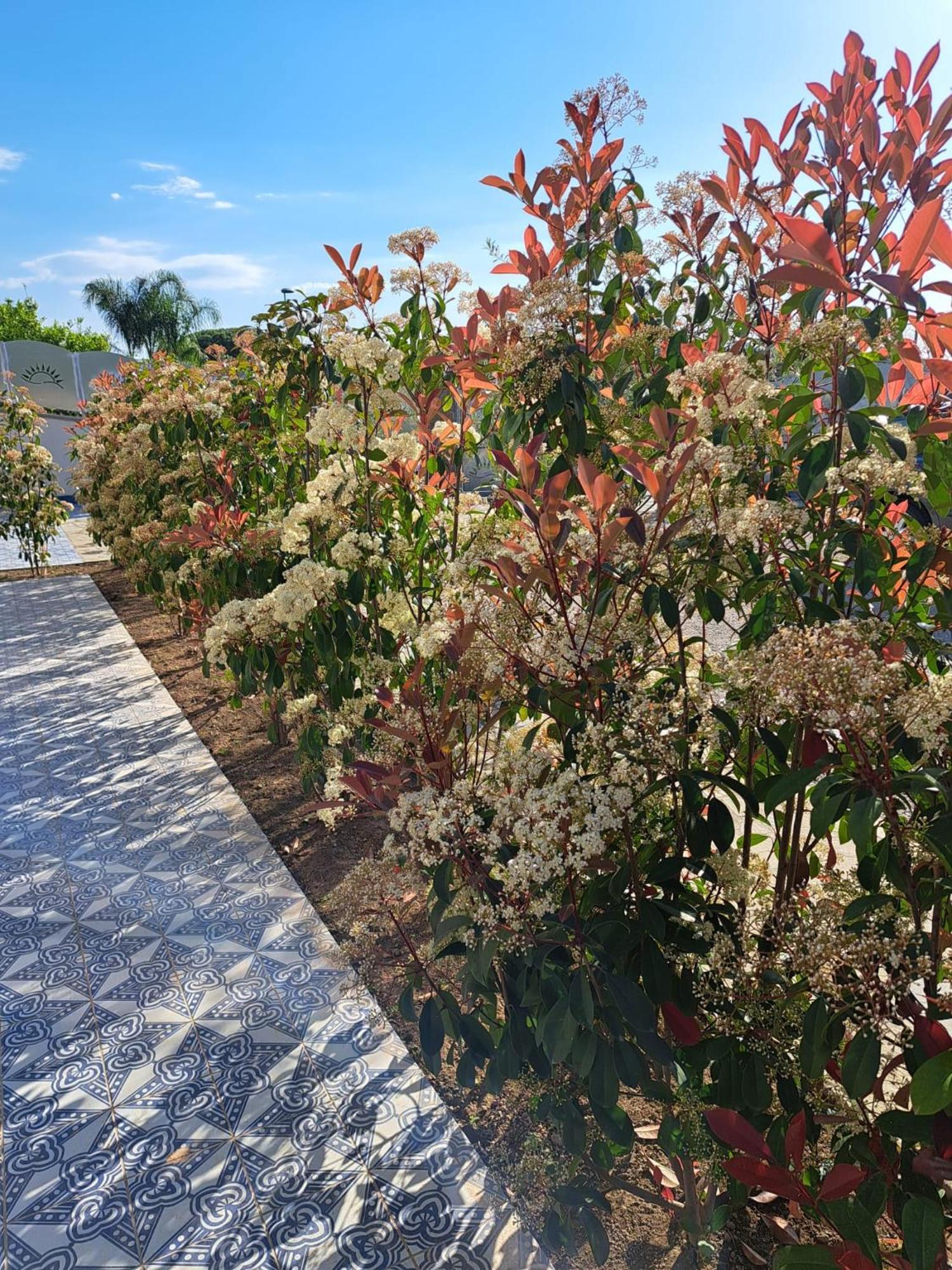 Bed and Breakfast Paoma Agropoli Esterno foto
